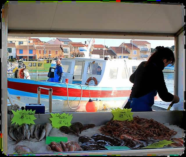 francia carro mercato pesce