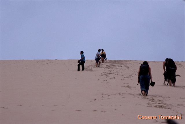 2006 Dune di Pyla
