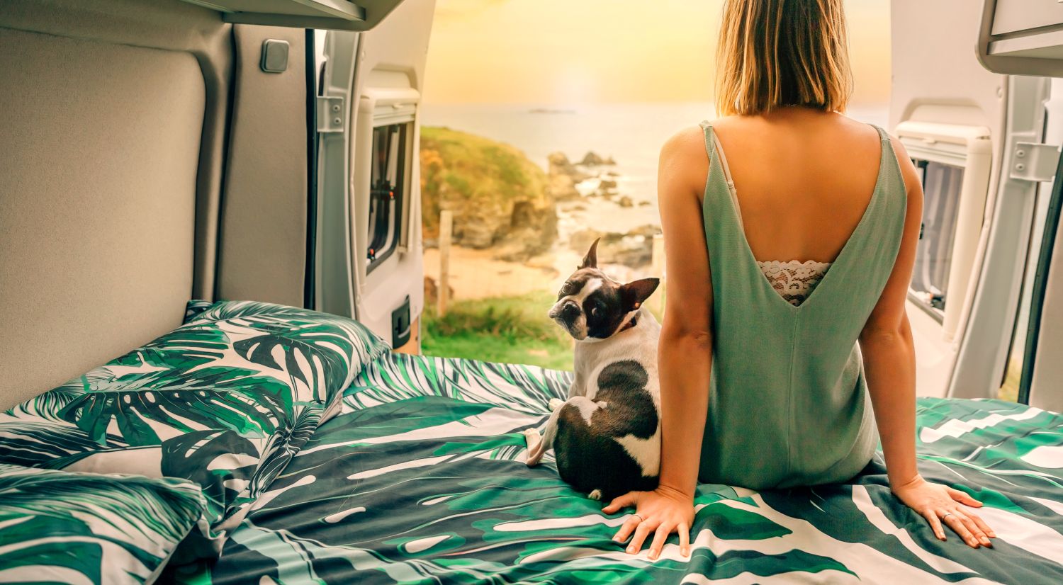 camper pet freindlyAdobeStock 510995592