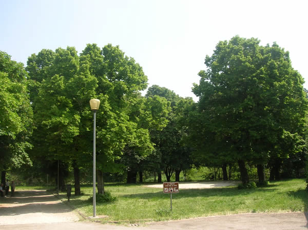 parco_mercatale_pergola_1