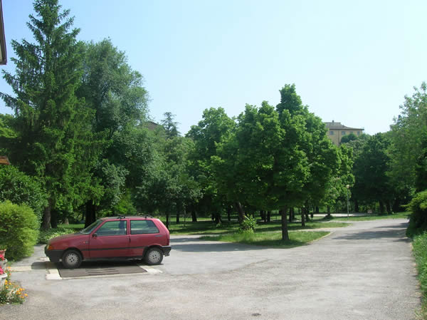 parco_mercatale_pergola_3