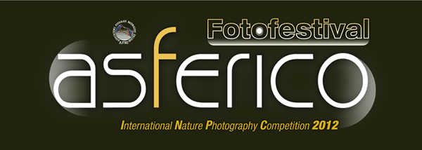 asterisco_foto_festival