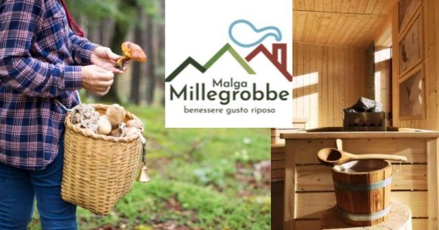 millegrobbe funghi benessere