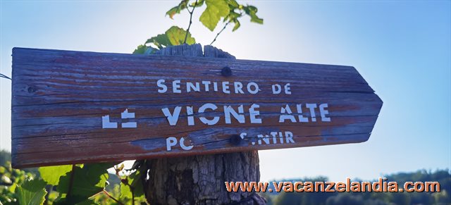 capriva isonzo sentiero vigne alte