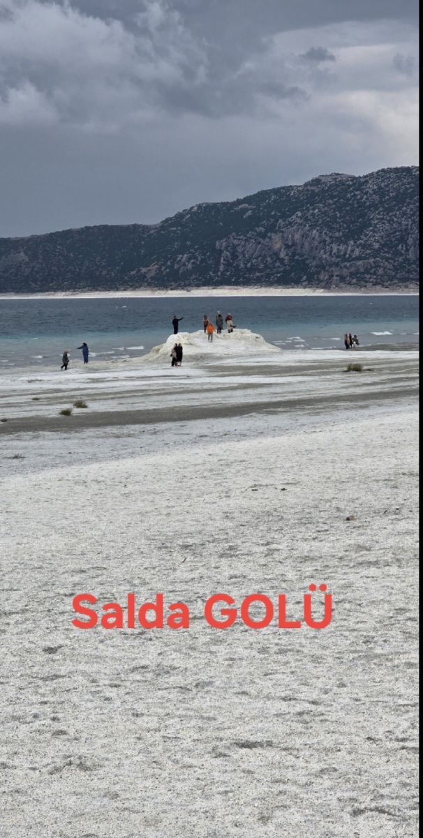 copertina salda golu