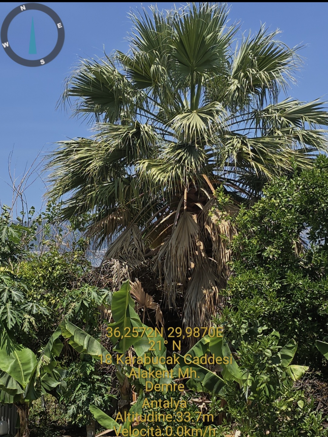 demre antalya coordinate