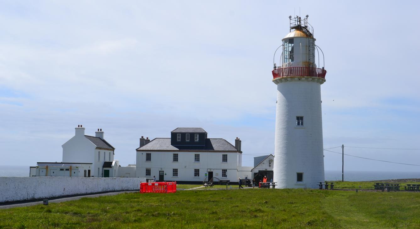 Loop Head faro