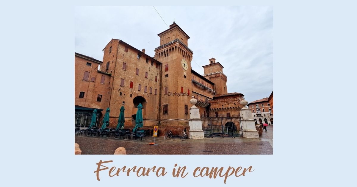 ferrara peddis