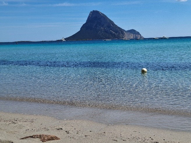 Capo Coda Cavallojpg