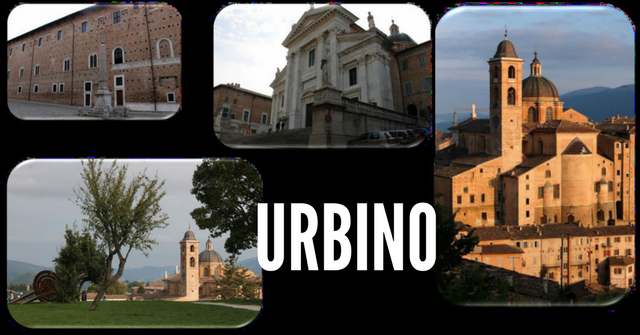 urbino