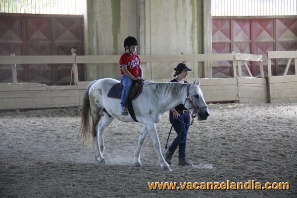 marche_cantiano_raduno_camping_ginestre_catria_passeggiata_cavallo_23