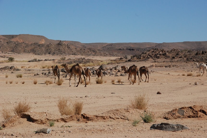 algeria