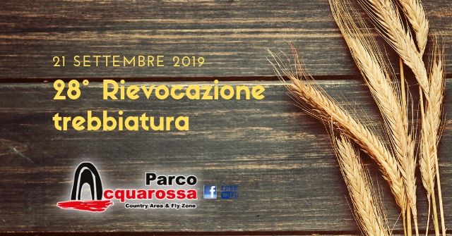 trebbiatura parco acquarossa2019