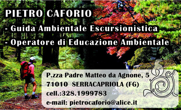 pietro caforio