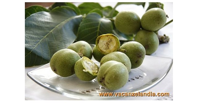 nocino